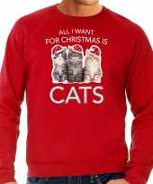 Kitten kersttrui outfit all i want for christmas is cats rood voor heren